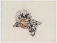 TvB T 406
<br/>
Hanekop
<br/>
<em>Bernard, Jean (Jan) (1765-1833)</em>